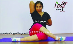 Home Yoga Classes in Maduravoyal